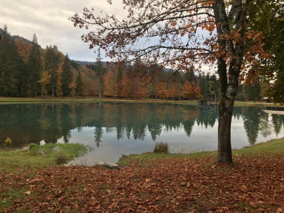 Chalet Alliance Entre Calme Et Plaisir Vila Morillon Exterior foto